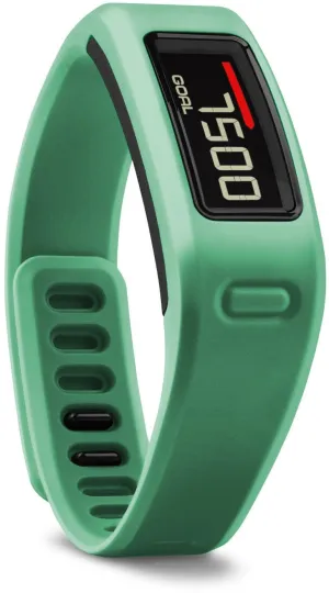 Garmin Watch Vivofit Teal Bundle