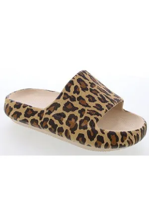 Leopard Cloud Slides